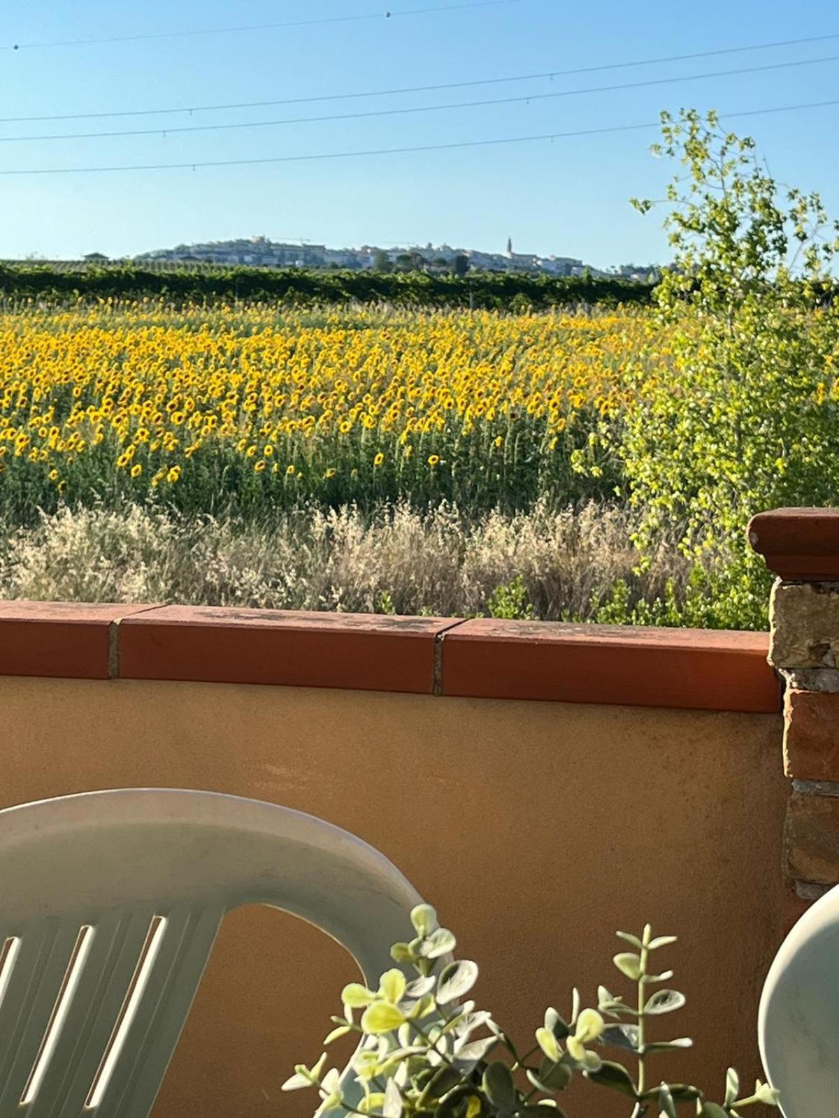 Il Podere Degli Asinelli Città Sant'Angelo Exterior foto